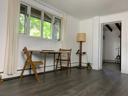 Pet Friendly 1 BR Apartment in Uptown Kingston + Huge Backyard & Full Kitchen