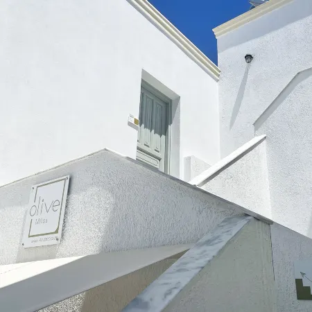 Olive Studios