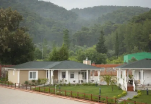 Padok Premium Hotel & Stables