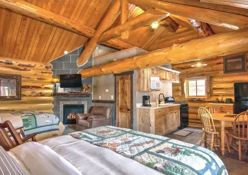 Hibernation Station - Pet friendly