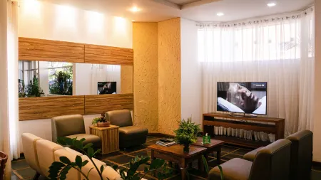 Sir Hotel Отели в г. Телемаку-Борба