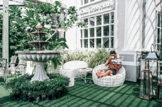 Club Tree Hotel Отели в г. Сонгкхла