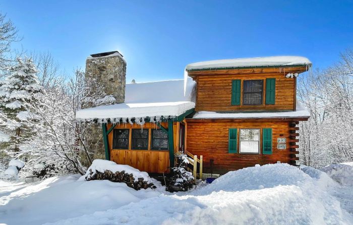 Game Room & Hot Tub: Pet-Friendly Mount Snow Gem