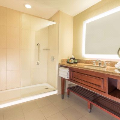 King Room with Balcony and Pool View Hilton Phoenix Airport Promo Code