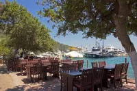 UMAYRA OTEL Hotels in Torba