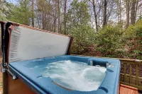 Blue Ridge Cozy Cabin in the Woods w/ Hot Tub! - 3-Star