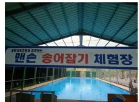 Hoengseong Pine Field Sports Park Auto Camping Site