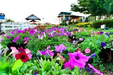 รูปภาพของมอนทาน่า คอทสโวล์ด รีสอร์ท