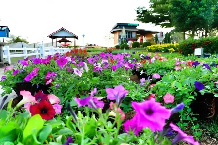 Montana Cotswolds Resort Отели рядом с достопримечательностью «Wat Khao Phaeng Ma»