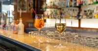 PLAZA INN Zwickau - bars