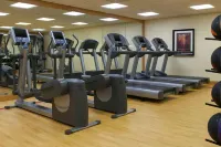 Sheraton Minneapolis West Hotel - Træningscentre
