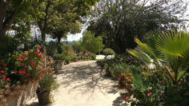 Country Cottage with hilltop views - Families and Pets welcome!