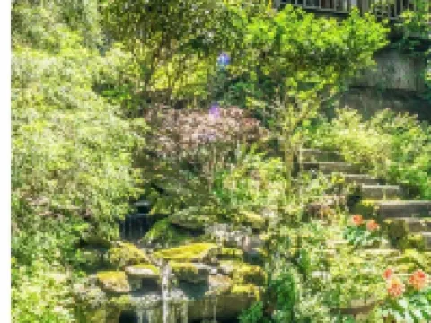 Badger's Den- Cozy Treetop Studio Hotels in Watauga