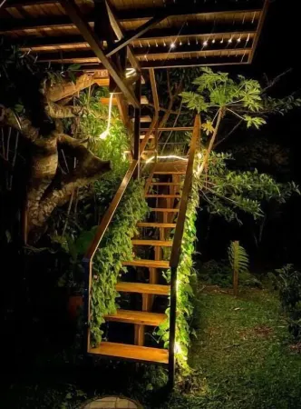 Treehouse on a Coffee Farm with Ocean View