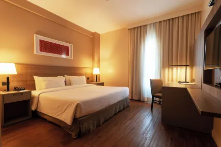 Radisson Hotel Anapolis Отели в г. Анаполис