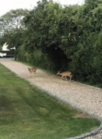 A One of a kind Beach Vacation Home