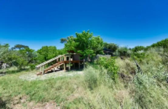 Luxury safari tent between Maun and Moremi