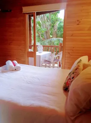 Magical tree house.Close to beach, walks, restaurants.Abundance of nature