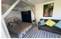 Atypical, set on the beach with direct access, swimming pool, barbecue, pets allowed