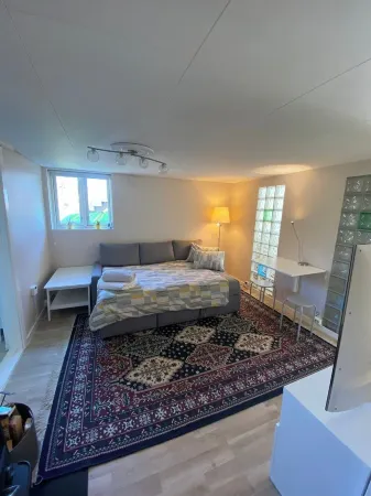 Apartment with own entrance, parking, fast public transport to Oslo city centre Отели в г. Rykkinn