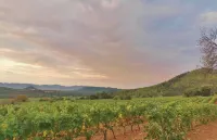 Le Nid en Chanté Hotels in Les Arcs