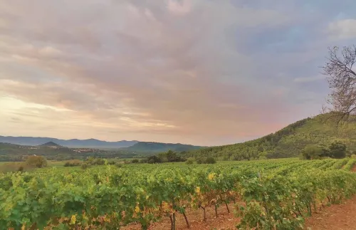 Le Nid en Chanté Hotels in Les Arcs