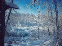 Hugel Hutte - Cozy cabin nestled in woods - Feels like a TreeHouse