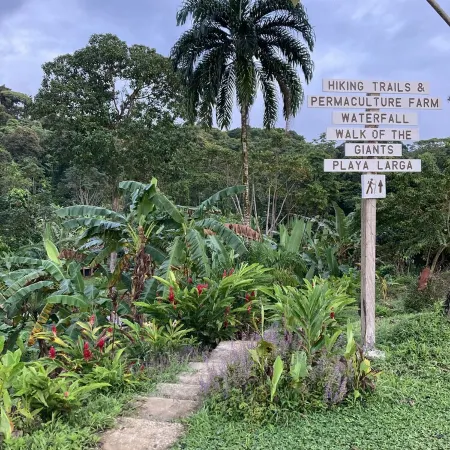 Tranquil Waterfall Studio, Oceanfront with Jungle Hiking and Starlink