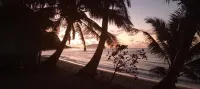 Jaymy Beach Fales Hotels in Utulaelae