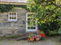 Royal Oak Farm Cottage - Homestays