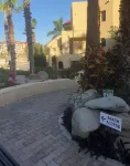 Luxury Oceanfront Villa in Cabo San Lucas -  Ferienhäuser