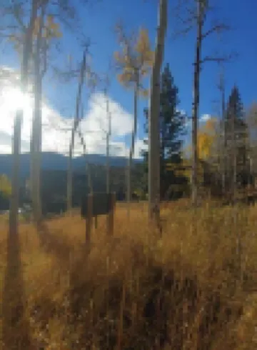 Aspen Leaf Retreat