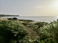 Genari Beach Apartments-Family Sea View Apartment Hotels near Pyrgos
