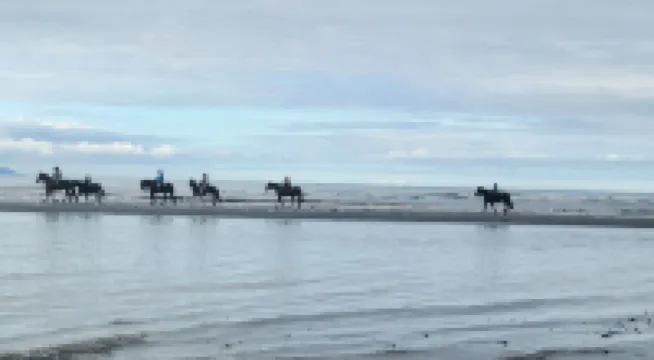 Ocean View Suite Homer Alaska Cafe/Bookshop/Beach