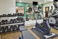 Holiday Inn Express & Suites NILES by IHG - Gym