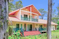 火山森林住宿加早餐旅館