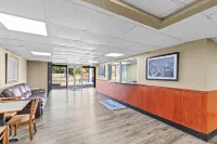 로드웨이 인 스톤 마운틴