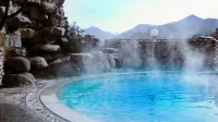 Chungju Suanbo Park Hotel - Hot Springs