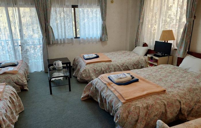 Green Plaza Hotel