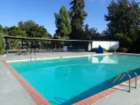 Lamp Liter Inn - Pool