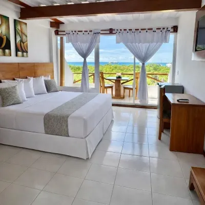 Hotel la Casa de Judy Hotels near Tortuga Bay Beach