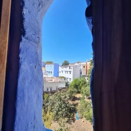 Casa Blue Star