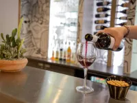 宜必思普羅旺斯布里尼奧勒韋爾特酒店 - 酒吧