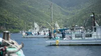 磯之宿 民宿 峰松 - 2 星級