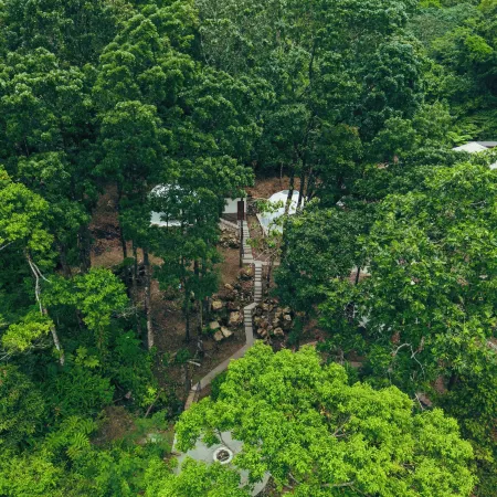 Matahom Forest House by Araw Residences