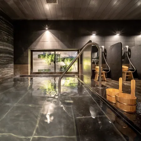 SUPER HOTEL Nagoya Natural Hotspring Shinkansenguchi