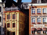 Ibis Styles Lille Aéroport - Pet friendly