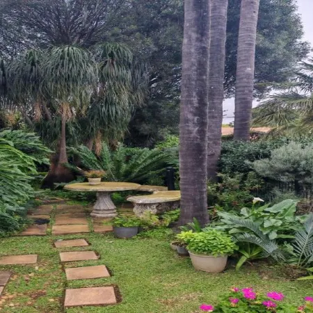 Three Olives Guesthouse