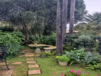 Three Olives Guesthouse - Servicios de Traslado