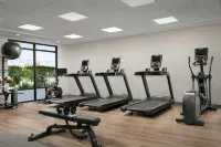 希爾頓歡朋套房飯店-帕索羅布爾斯 - 健身房